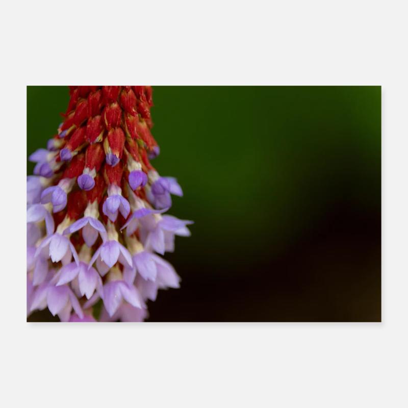 Lavender Blossom Gradient Pattern Poster 12" x 8" (30x20 cm)