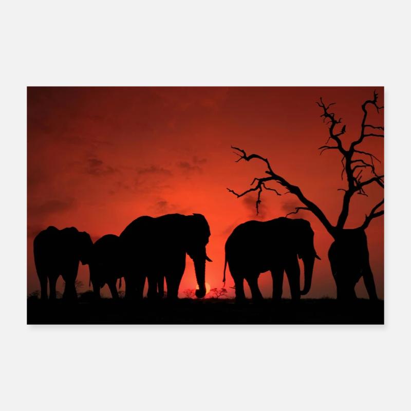 Elephants at Sunset Silhouette Poster 12" x 8" (30x20 cm)