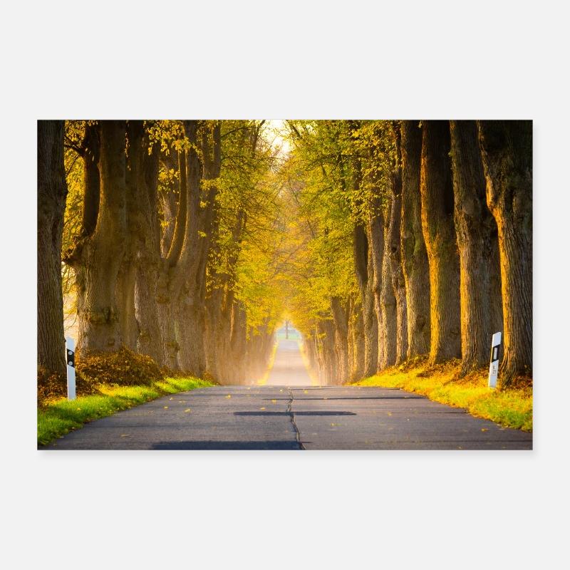 Autumn avenue in the light Poster 12" x 8" (30x20 cm)