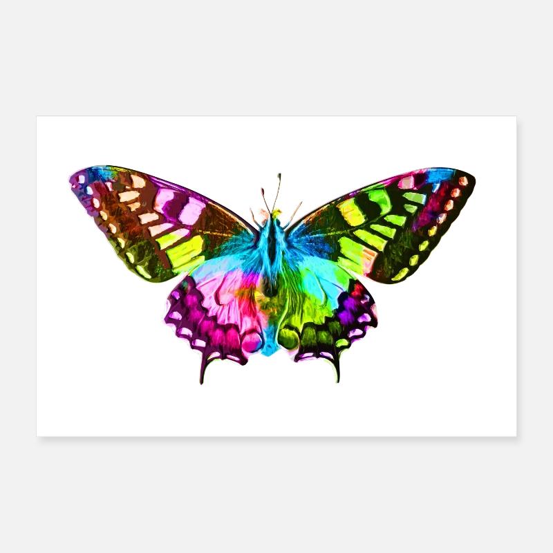 Papillon - Poster 30 x 20 cm - blanc
