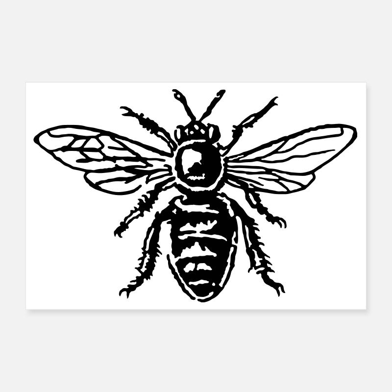 Biene Poster 30x20 cm