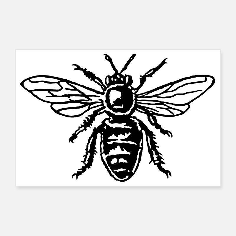 Honey Bee Two-Color Black&White Poster 30 x 20 cm