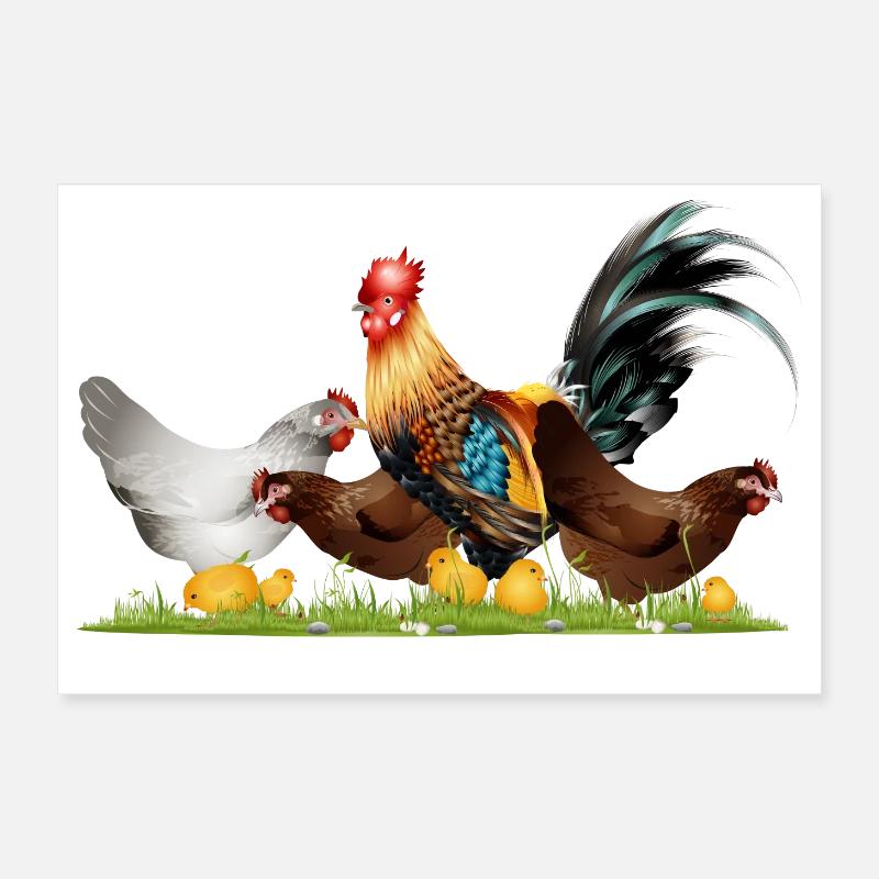 stattlicher Hahn mit Hühner auf dem Hühnerhof - Poster 30x20 cm - Weiß