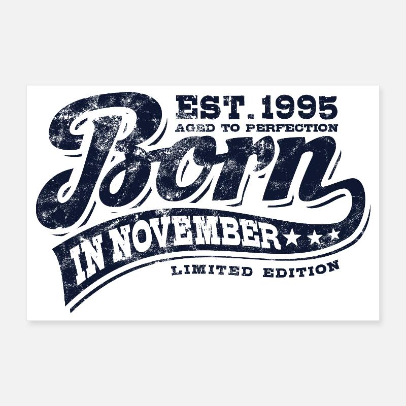Born in November 1995 - Birthday - Gift Poster 12" x 8" (30x20 cm)