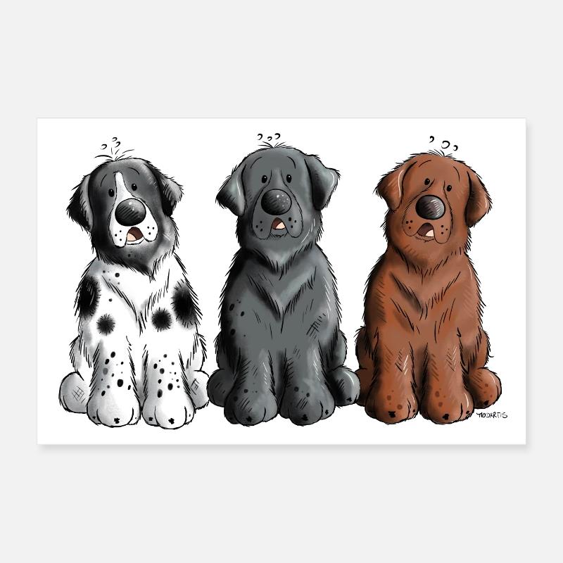 Three Newfoundland Dogs Poster 12" x 8" (30x20 cm)