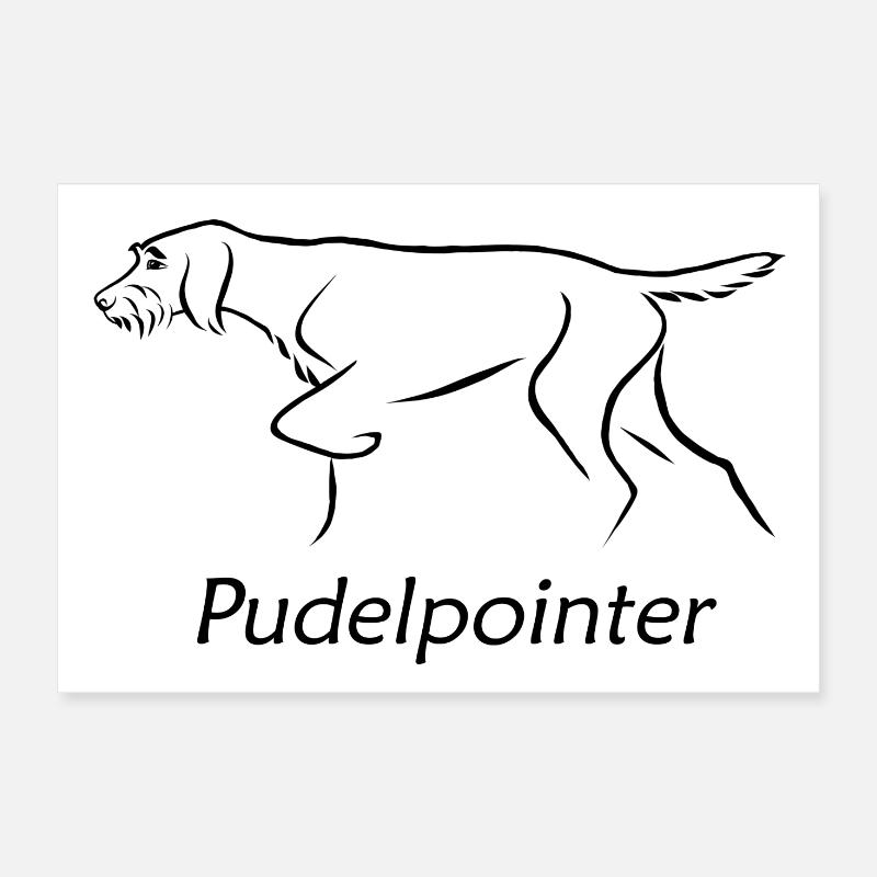 Poodle pointer Poster 12" x 8" (30x20 cm)