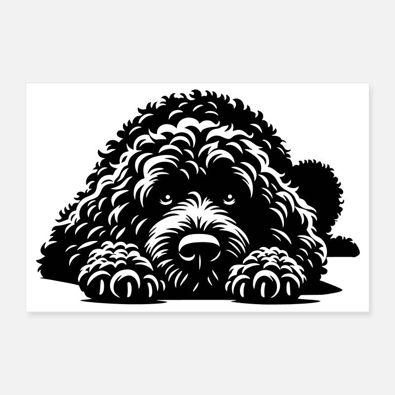 Chien d’Eau Espagnol Poster 30 x 20 cm