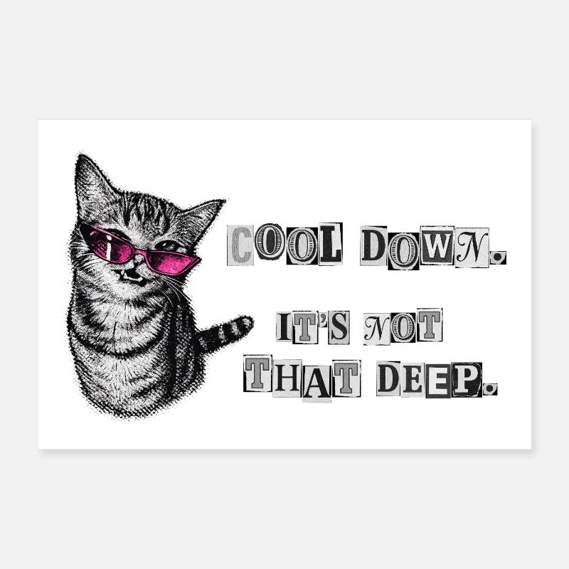 Cool Down – It’s Not That Deep Katzen Meme Poster 30x20 cm