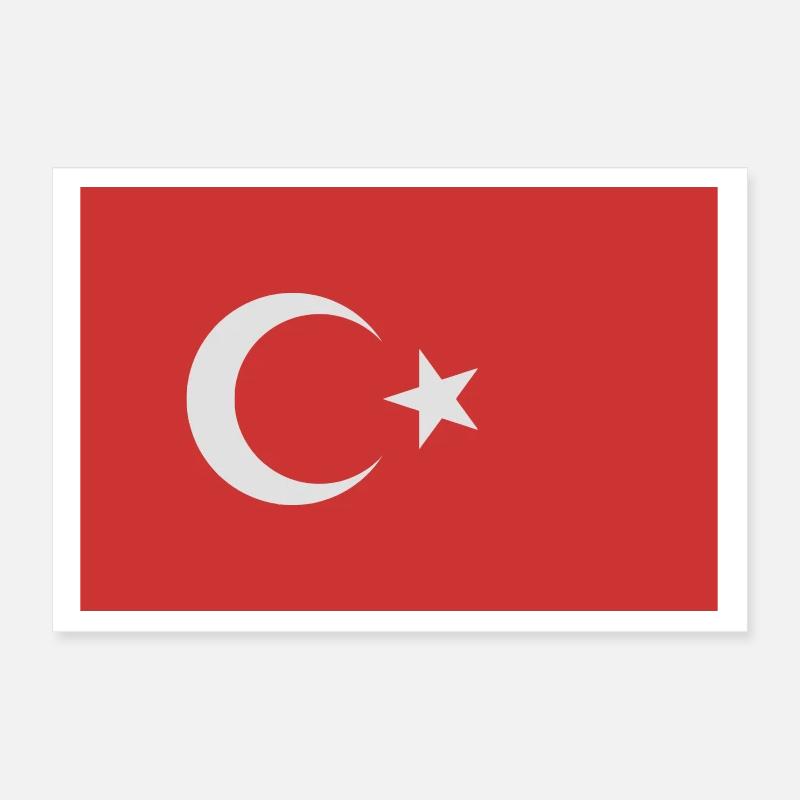 Turkey (vector) Poster 12" x 8" (30x20 cm)