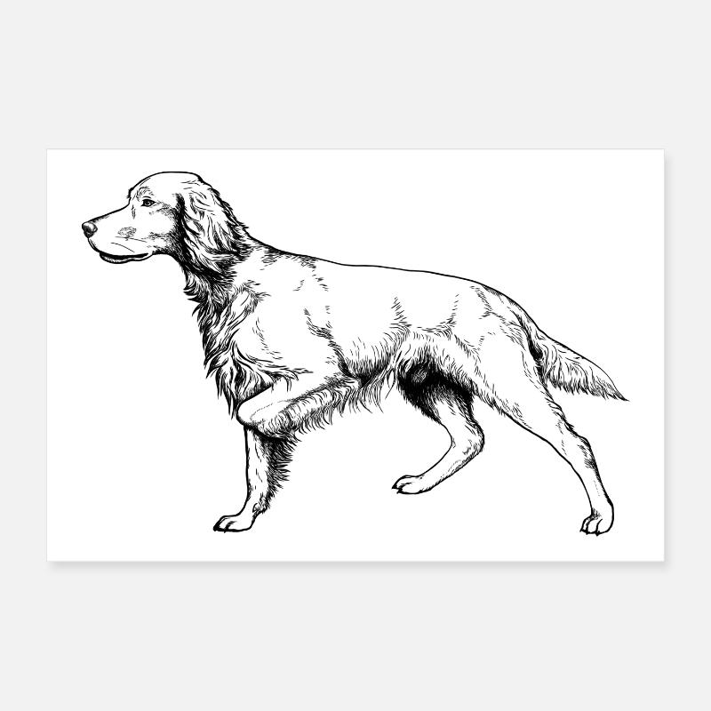 Setter ci-dessus Poster 30 x 20 cm