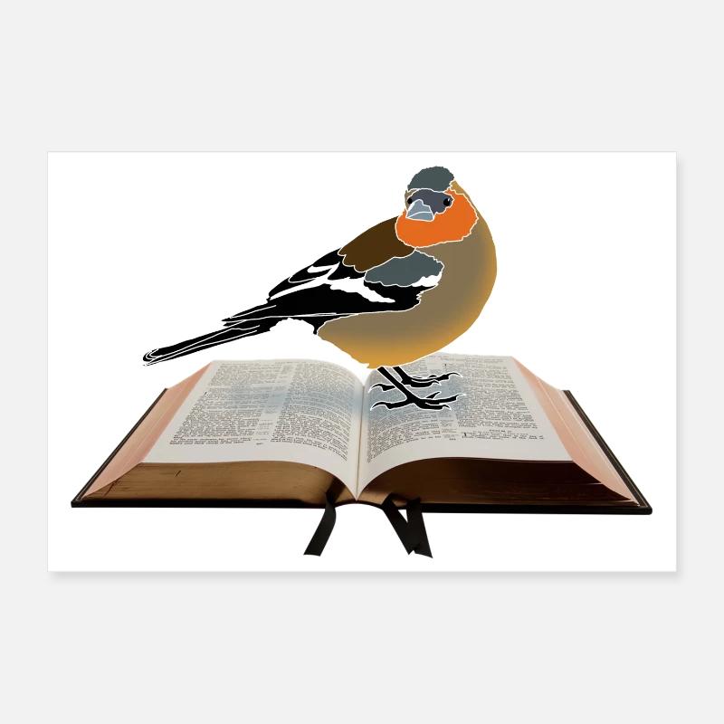 Buchfink auf Buch Poster 30x20 cm