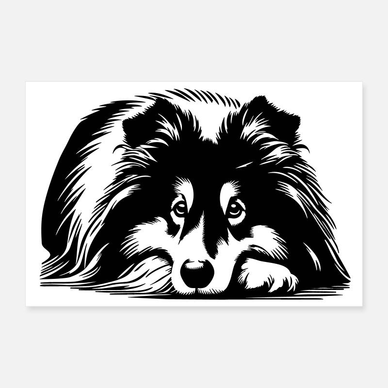 Sheltie Poster 30 x 20 cm