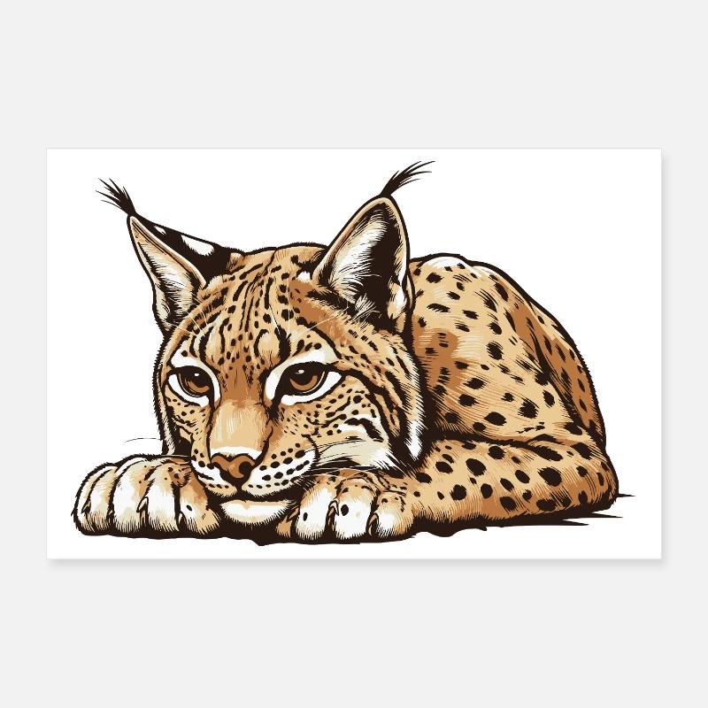 Luchs Poster 30x20 cm