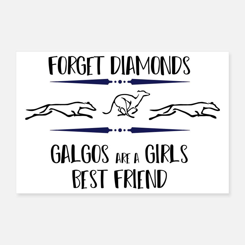 Galgos rennend Poster 30x20 cm