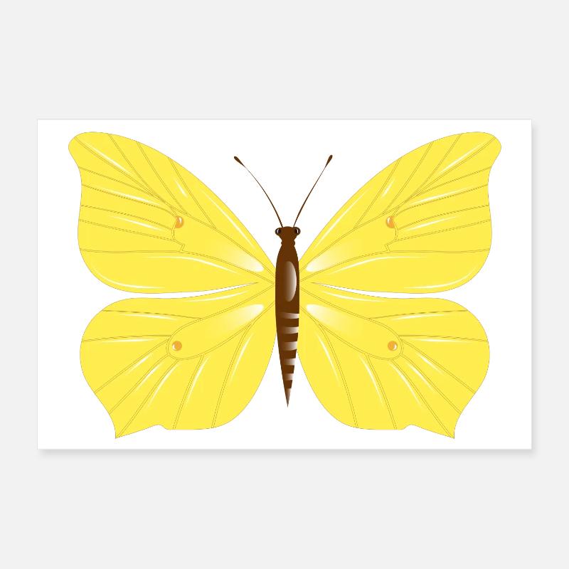 Papillon citron dessiné à la main Poster 30 x 20 cm