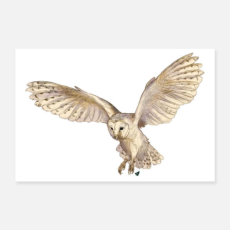 Wunderschöne Schleiereule im Flug Poster 30x20 cm