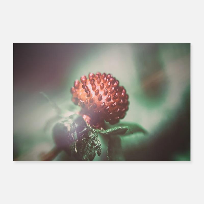 Wild strawberry Poster 12" x 8" (30x20 cm)