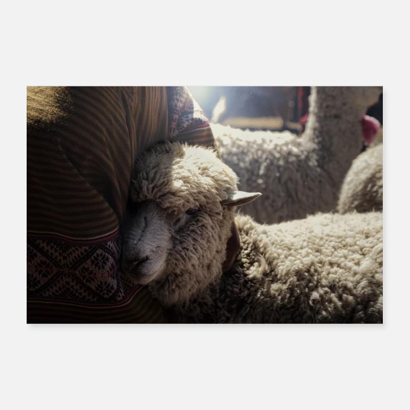 Tradition péruvienne par Daniel Rödel Poster 30 x 20 cm