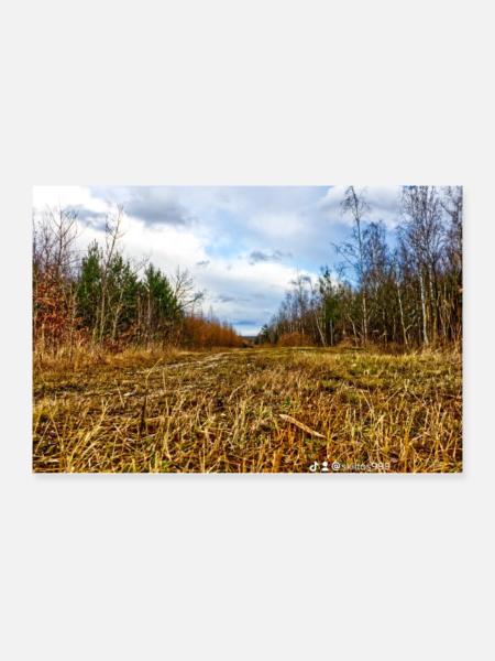 Waldweg - Poster 30x20 cm - Weiß
