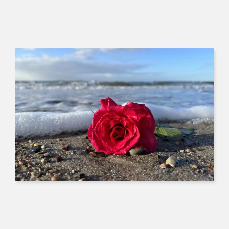 Rose Poster 30x20 cm