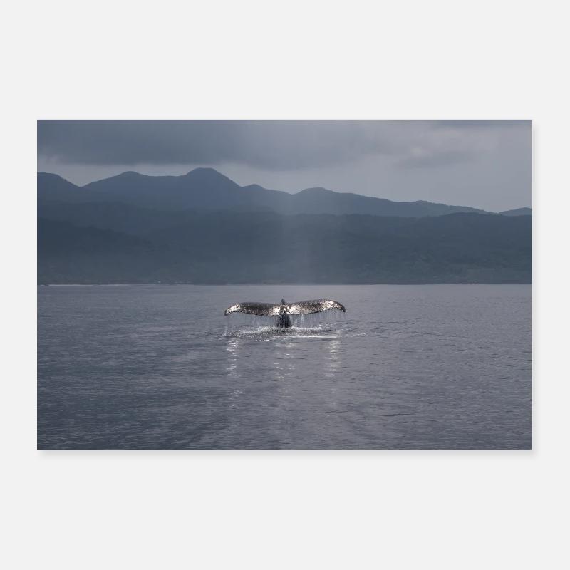 Whale Fin Poster 12" x 8" (30x20 cm)