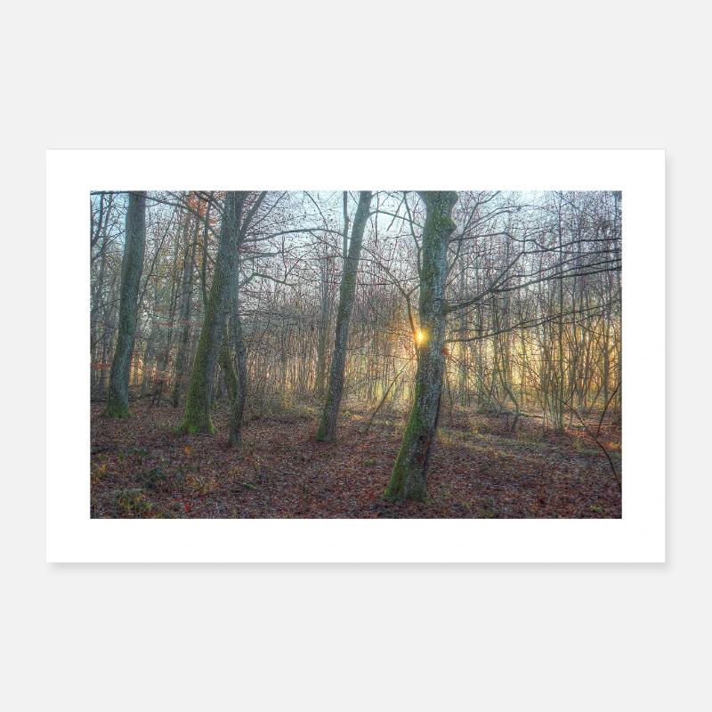 Dans la forêt enchantée Poster 30 x 20 cm