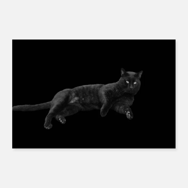 Chat noir Chat Chat Noir Chat Cadeau Poster 30 x 20 cm