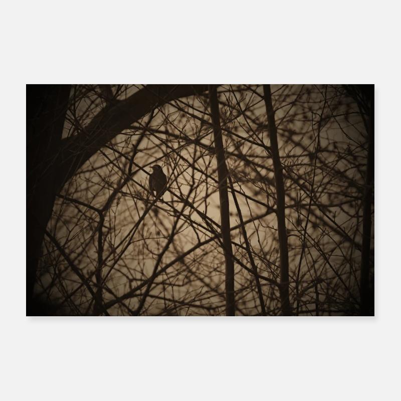 Vogel Silhouette Poster 30x20 cm