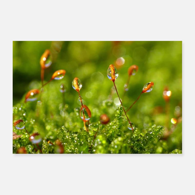 Waterdrop Poster 12" x 8" (30x20 cm)