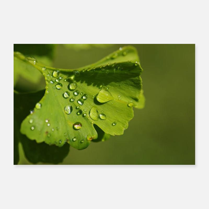 gouttes d'eau Poster 30 x 20 cm