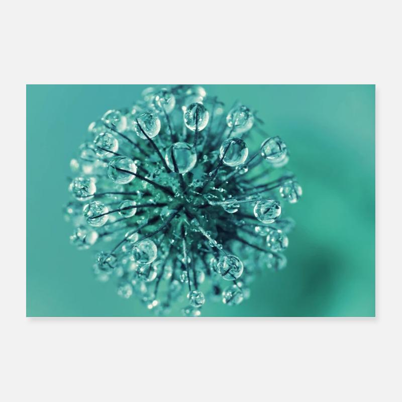 gouttes d'eau Poster 30 x 20 cm