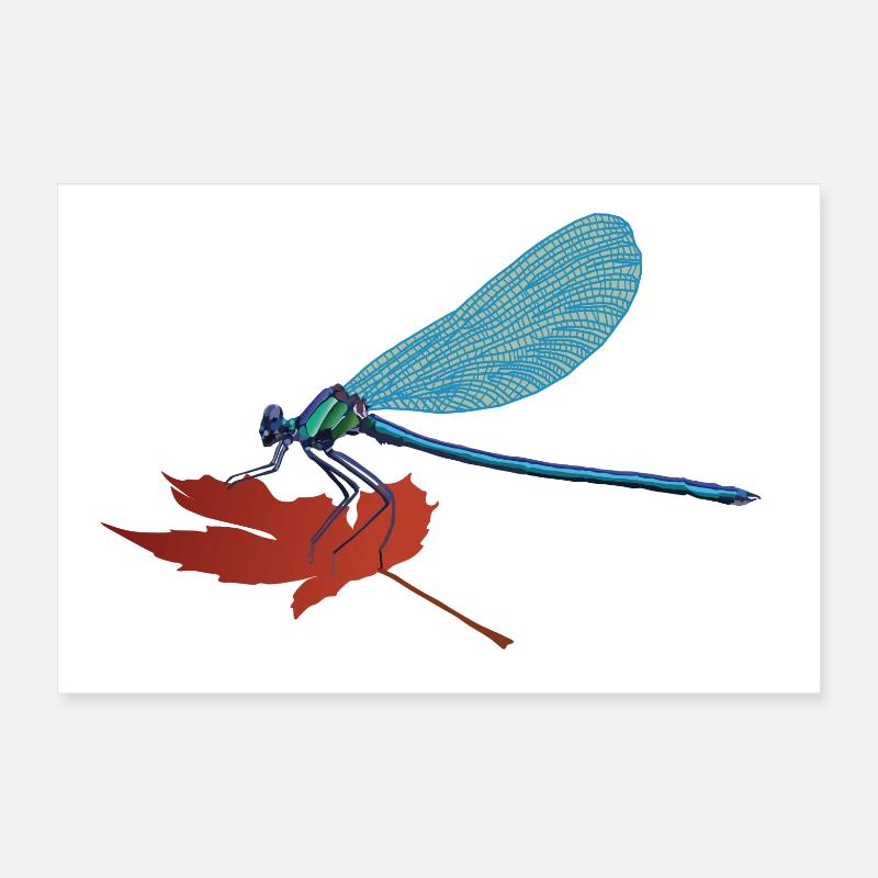 Lilli, la libellule Poster 30 x 20 cm