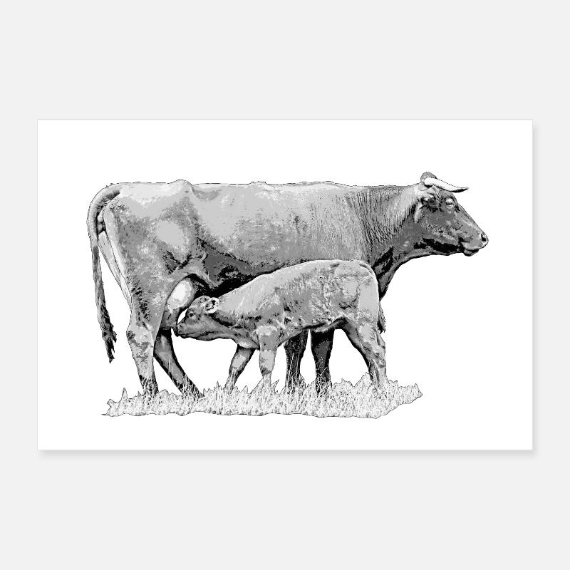 Don d’un fermier vache avec veau Poster 30 x 20 cm