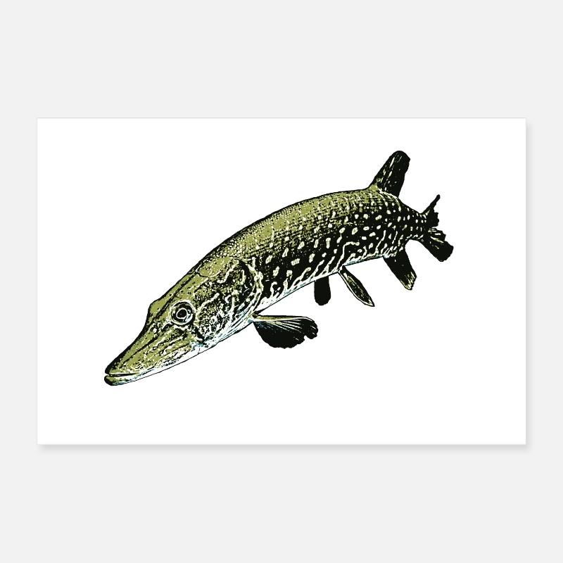 Pike Illustration – Realistic Predator Fish Desig Poster 12" x 8" (30x20 cm)