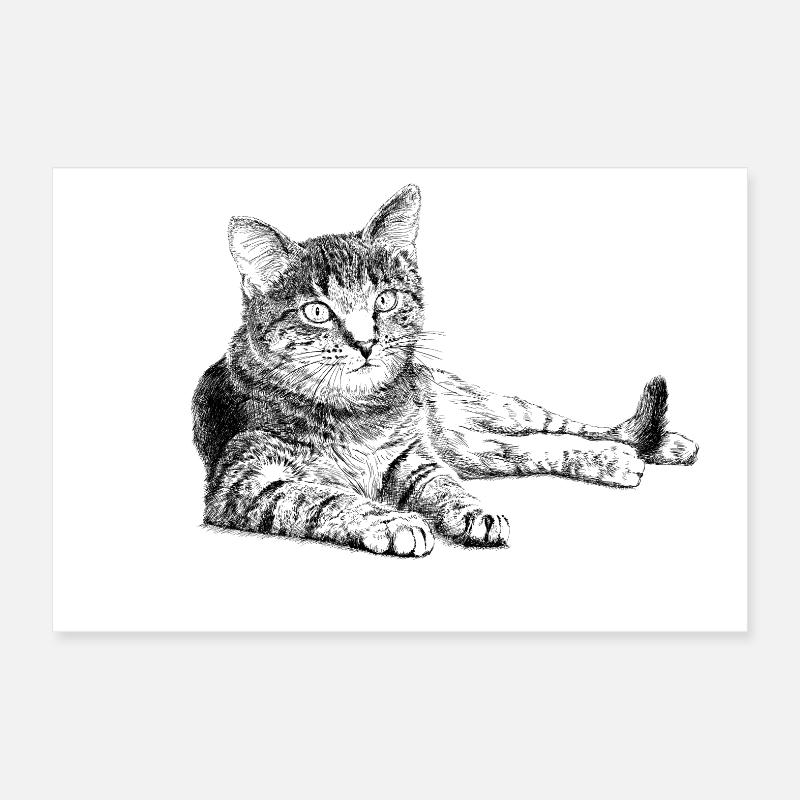 Cat Poster 30 x 20 cm