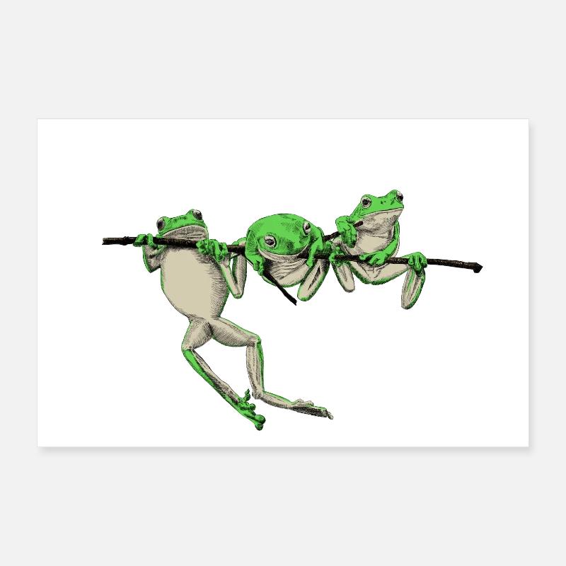 Frosch Poster 30x20 cm