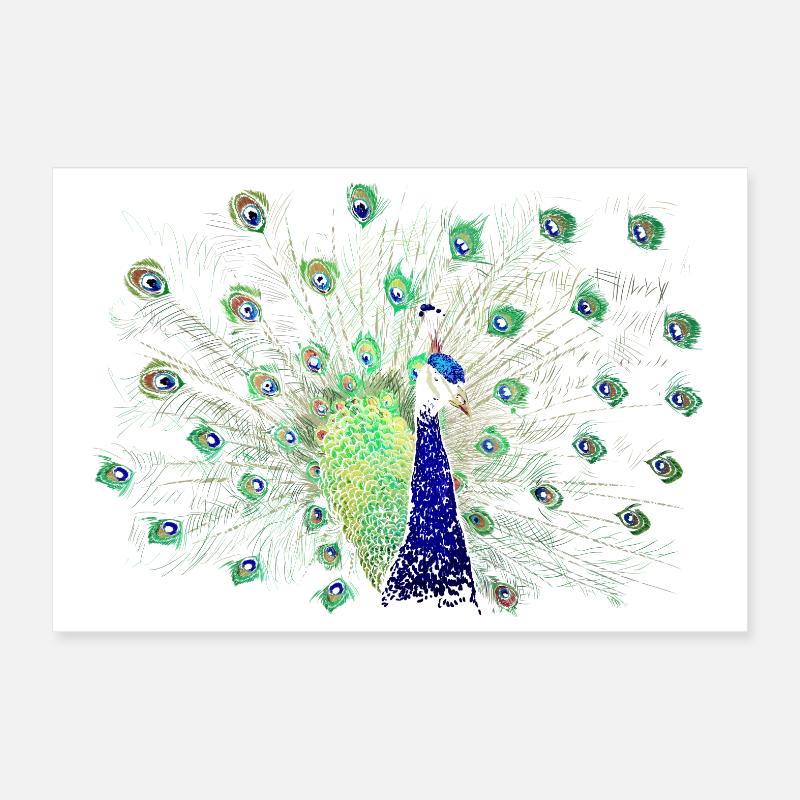 Peacock Poster 30 x 20 cm
