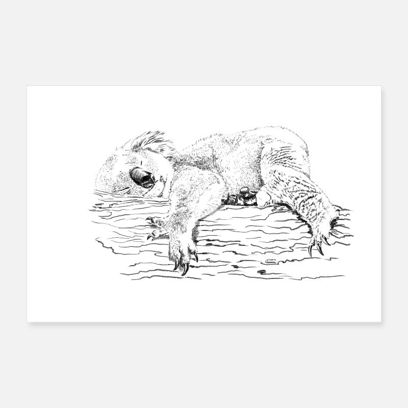 koala bear Poster 30 x 20 cm
