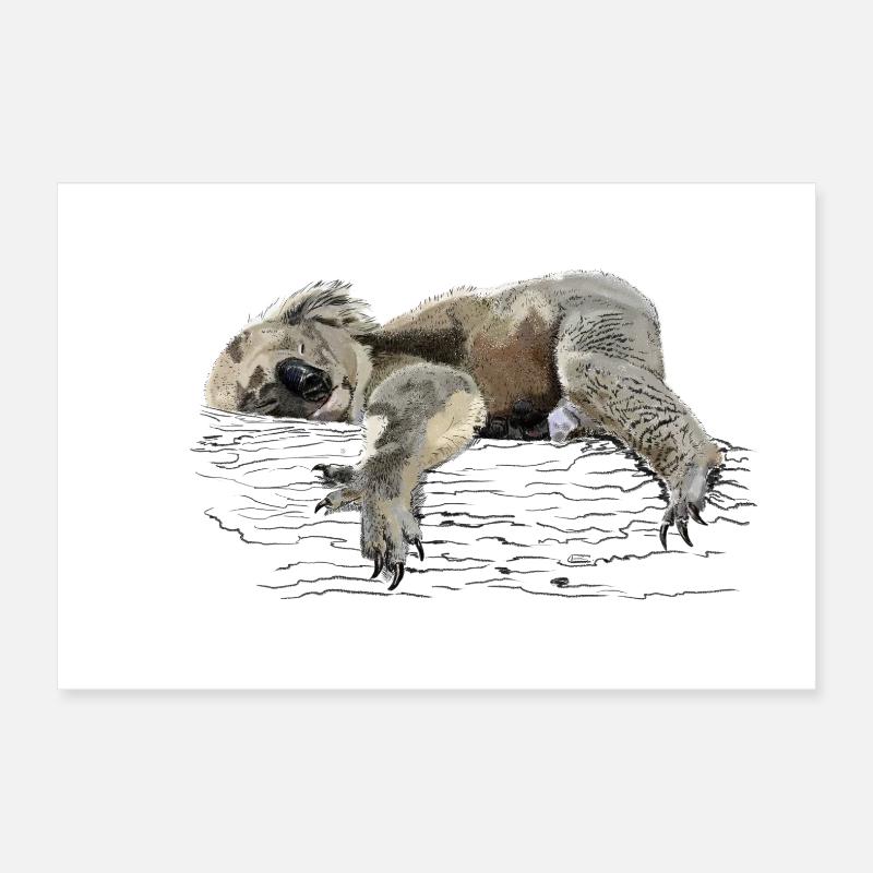 koala bear Poster 30 x 20 cm