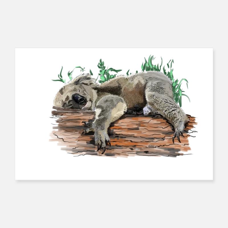 Koala Poster 30x20 cm