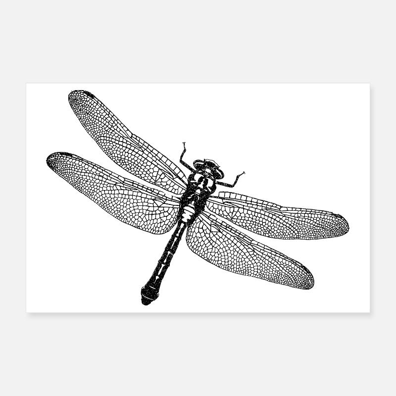 Libellule Poster 30 x 20 cm