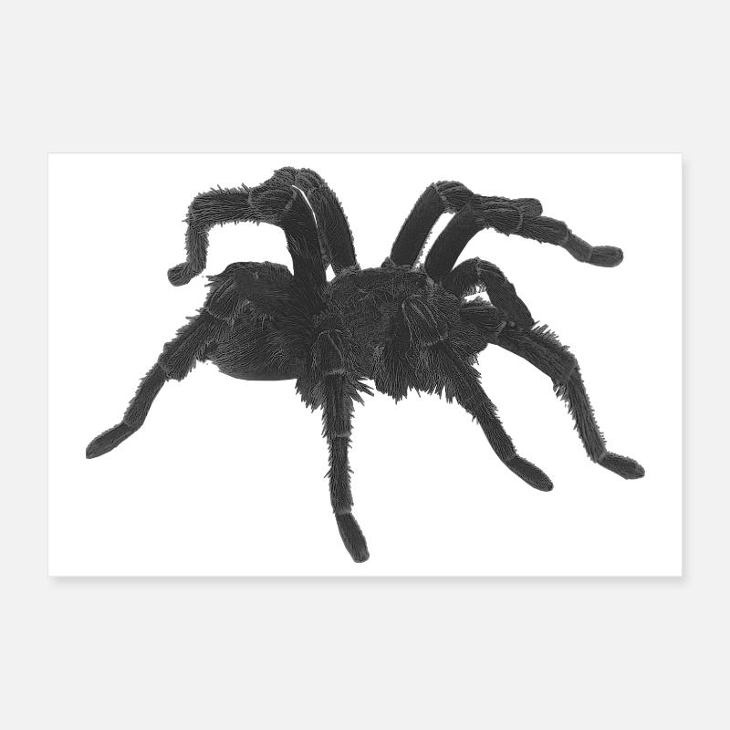 Tarantel design, geburtstagsgeschenk Mann, goth Poster 30x20 cm