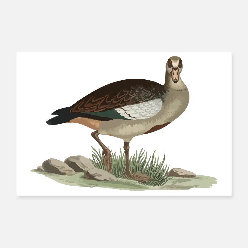 Erdige Ente Naturstil Poster 30x20 cm