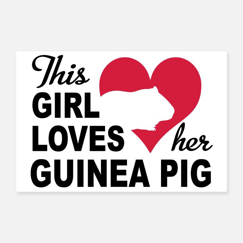 guinea pig Poster 12" x 8" (30x20 cm)