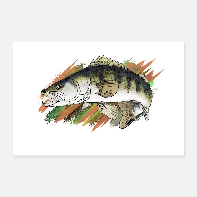 Zander Poster 30x20 cm