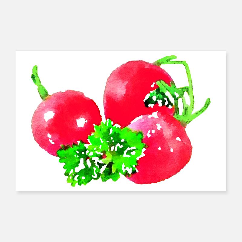 radis Poster 30 x 20 cm