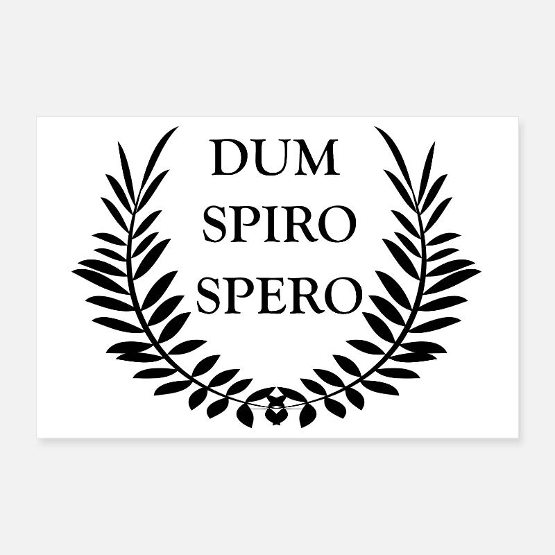 Dum Spiro Spero Poster 30x20 cm