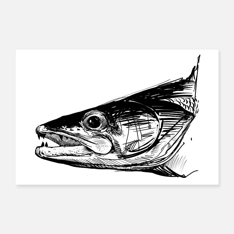 Zander - Zander Fishing - Favorite Fish Poster 12" x 8" (30x20 cm)
