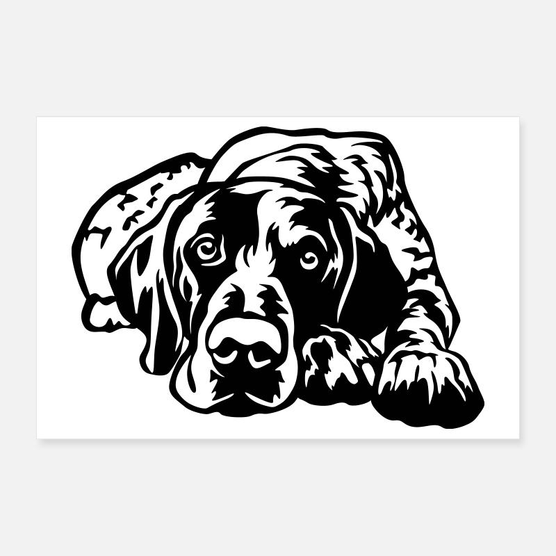 German Shorthaired Pointer Poster 12" x 8" (30x20 cm)