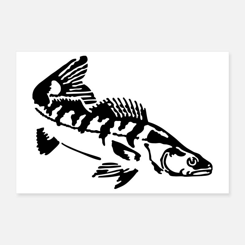 Zander Poster 30x20 cm